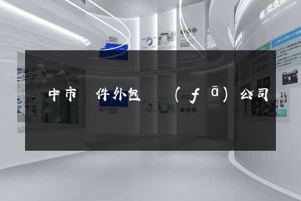 揚中市軟件外包開發(fā)公司