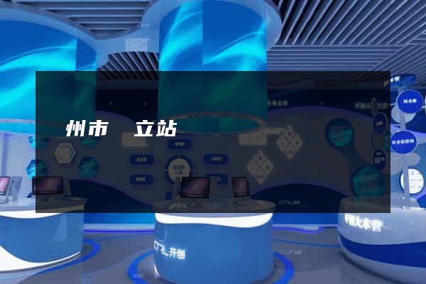 揚州市獨立站運營