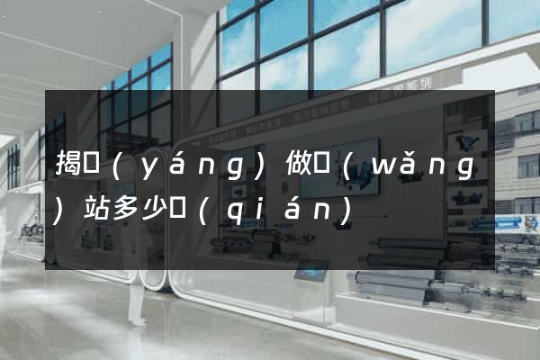揭陽(yáng)做網(wǎng)站多少錢(qián)