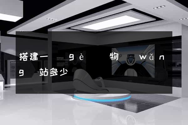 搭建一個(gè)購物網(wǎng)站多少錢