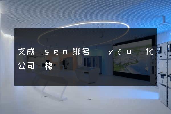文成縣seo排名優(yōu)化公司價格