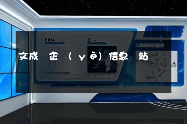 文成縣企業(yè)信息網站