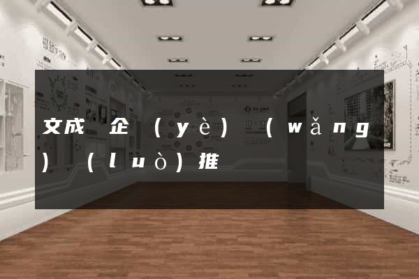 文成縣企業(yè)網(wǎng)絡(luò)推廣
