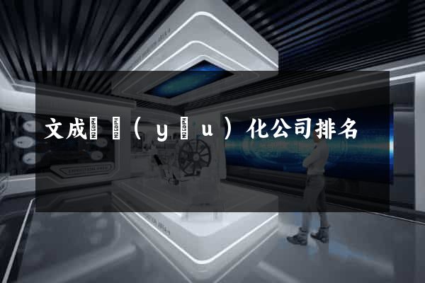 文成縣優(yōu)化公司排名