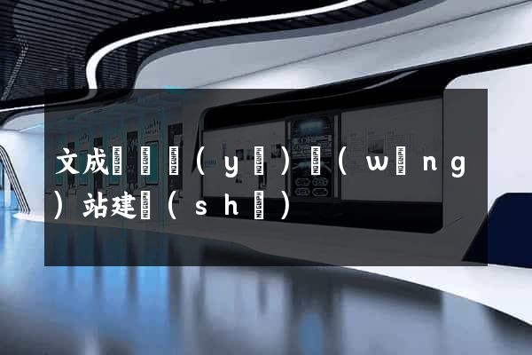 文成縣專業(yè)網(wǎng)站建設(shè)