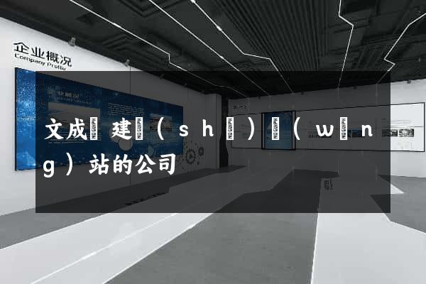 文成縣建設(shè)網(wǎng)站的公司