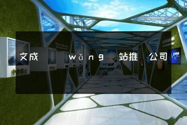 文成縣網(wǎng)站推廣公司
