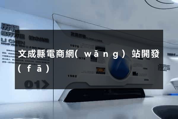 文成縣電商網(wǎng)站開發(fā)