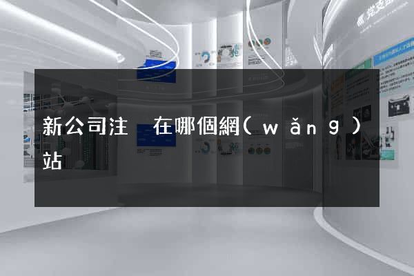 新公司注冊在哪個網(wǎng)站