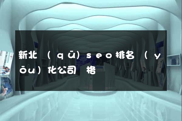 新北區(qū)seo排名優(yōu)化公司價格