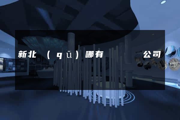 新北區(qū)哪有網頁設計公司