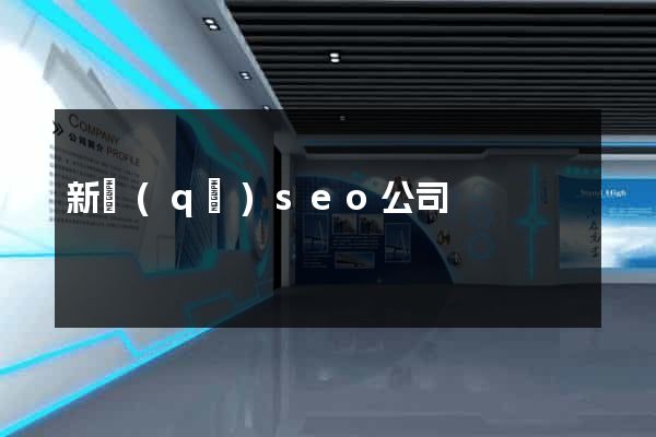新區(qū)seo公司