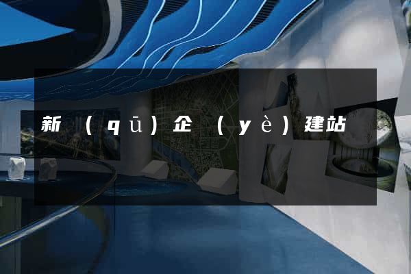 新區(qū)企業(yè)建站
