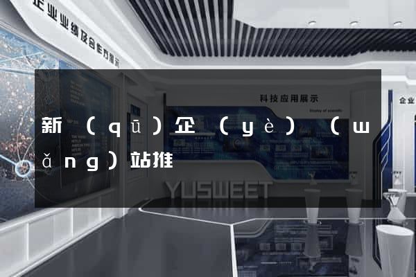 新區(qū)企業(yè)網(wǎng)站推廣