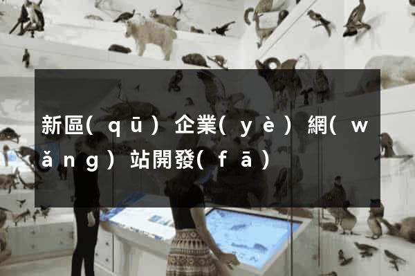 新區(qū)企業(yè)網(wǎng)站開發(fā)