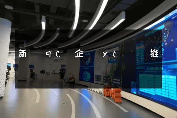 新區(qū)企業(yè)網絡推廣