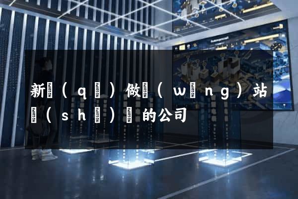 新區(qū)做網(wǎng)站設(shè)計的公司