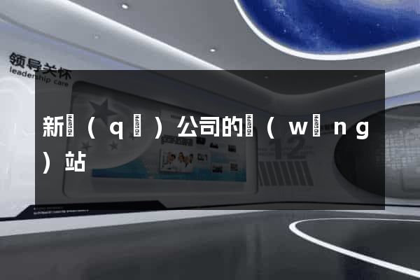 新區(qū)公司的網(wǎng)站