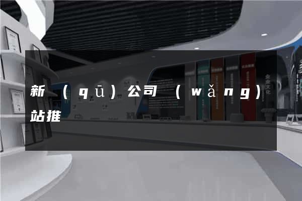新區(qū)公司網(wǎng)站推廣