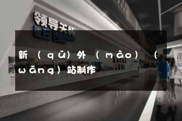 新區(qū)外貿(mào)網(wǎng)站制作