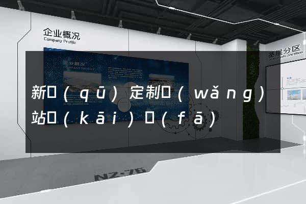新區(qū)定制網(wǎng)站開(kāi)發(fā)