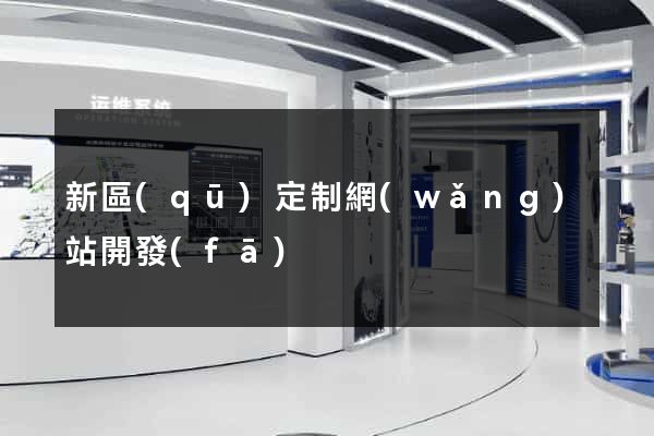 新區(qū)定制網(wǎng)站開發(fā)