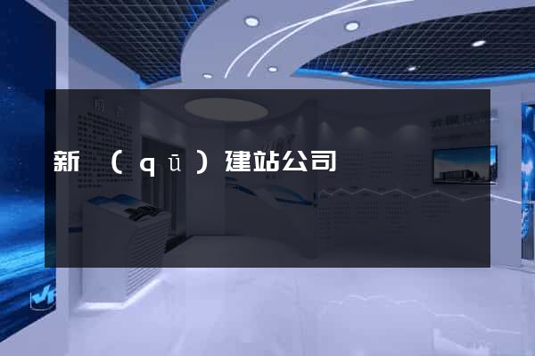 新區(qū)建站公司