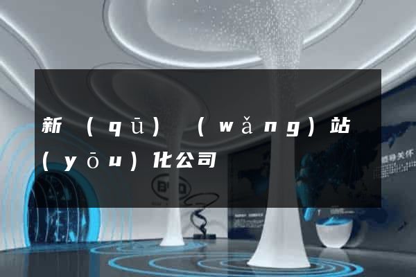 新區(qū)網(wǎng)站優(yōu)化公司