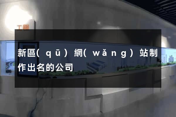 新區(qū)網(wǎng)站制作出名的公司