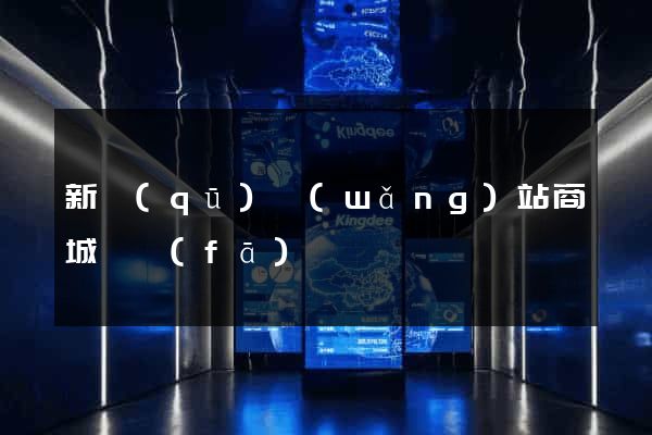 新區(qū)網(wǎng)站商城開發(fā)