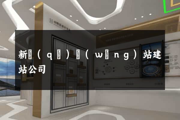 新區(qū)網(wǎng)站建站公司