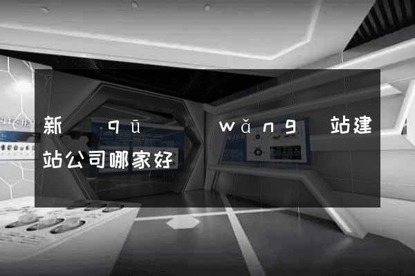 新區(qū)網(wǎng)站建站公司哪家好