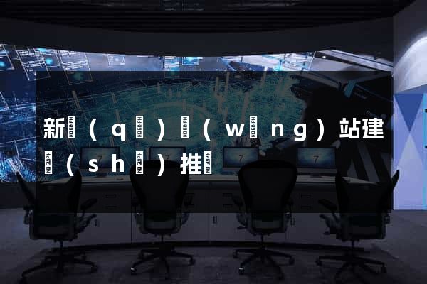 新區(qū)網(wǎng)站建設(shè)推廣