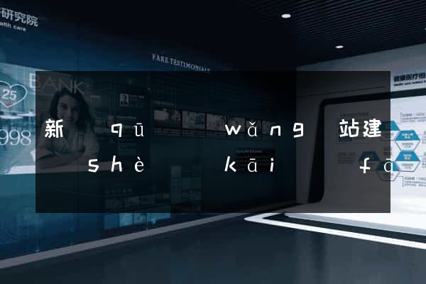 新區(qū)網(wǎng)站建設(shè)開(kāi)發(fā)公司
