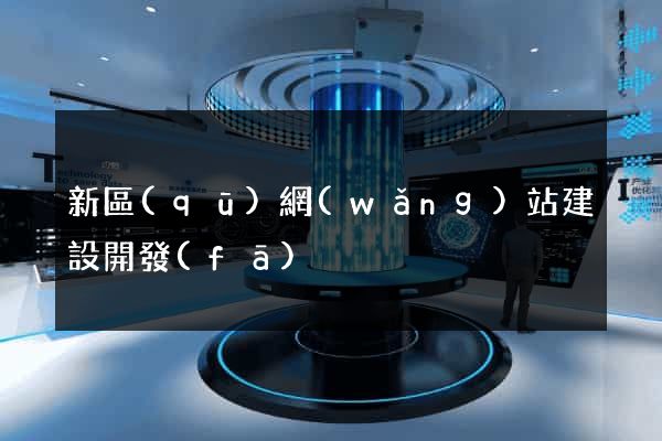 新區(qū)網(wǎng)站建設開發(fā)