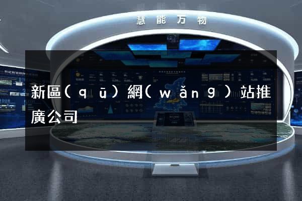 新區(qū)網(wǎng)站推廣公司