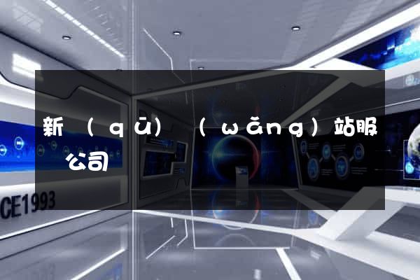 新區(qū)網(wǎng)站服務公司
