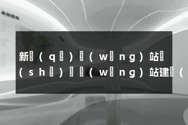 新區(qū)網(wǎng)站設(shè)計網(wǎng)站建設(shè)