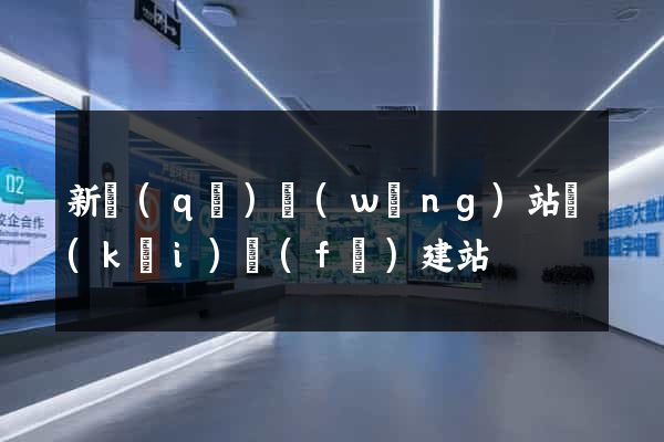 新區(qū)網(wǎng)站開(kāi)發(fā)建站