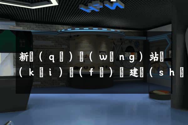 新區(qū)網(wǎng)站開(kāi)發(fā)與建設(shè)