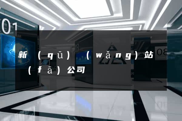 新區(qū)網(wǎng)站開發(fā)公司
