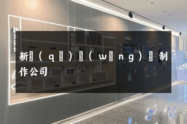 新區(qū)網(wǎng)頁制作公司