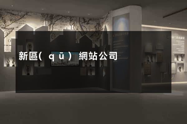 新區(qū)網站公司