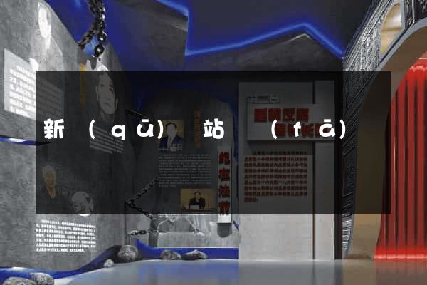 新區(qū)網站開發(fā)