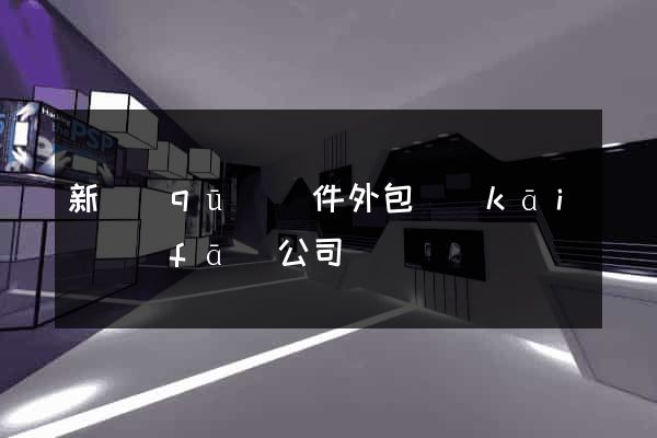 新區(qū)軟件外包開(kāi)發(fā)公司