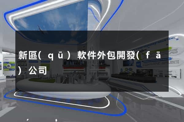 新區(qū)軟件外包開發(fā)公司