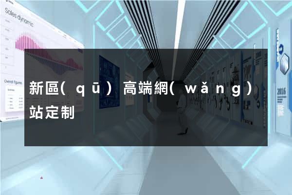 新區(qū)高端網(wǎng)站定制