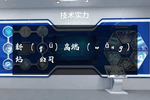 新區(qū)高端網(wǎng)站設計公司