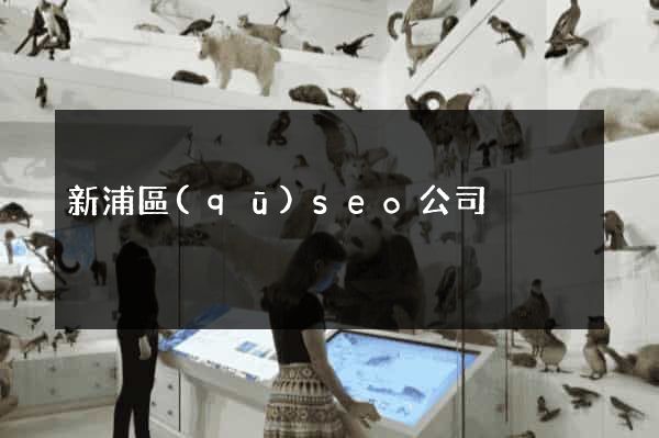 新浦區(qū)seo公司