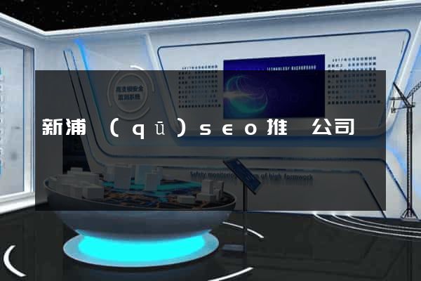 新浦區(qū)seo推廣公司